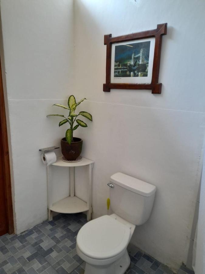 Casa Yoly Hostel גרנאדה מראה חיצוני תמונה