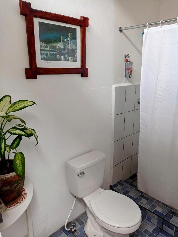 Casa Yoly Hostel גרנאדה מראה חיצוני תמונה