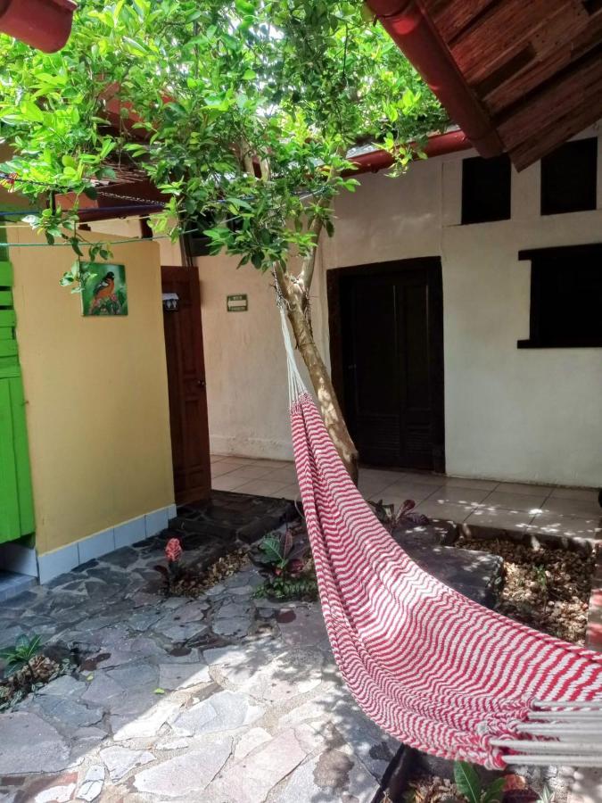 Casa Yoly Hostel גרנאדה מראה חיצוני תמונה